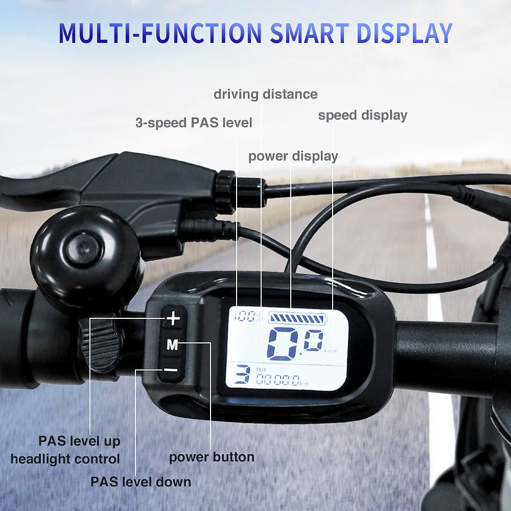 Fafrees F20 250W 20" Folding Electric Bike 576Wh City E-Bike 36V 16Ah Battery